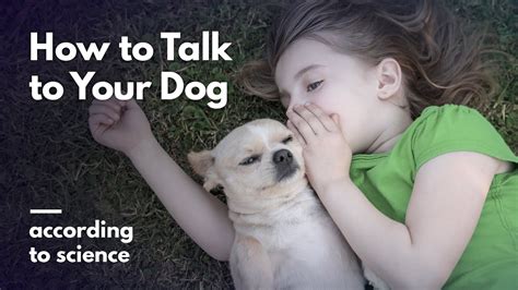 Do pets like when we talk to them?